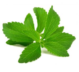 stevia leaf extract